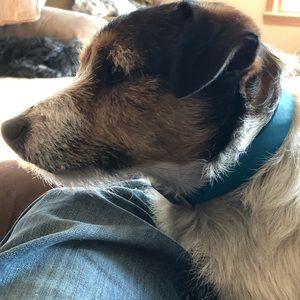 Meet your Posher, Sharon